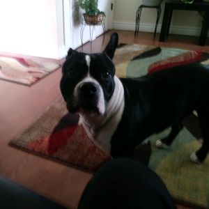 Meet your Posher, Desiree